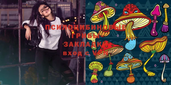 2c-b Аркадак