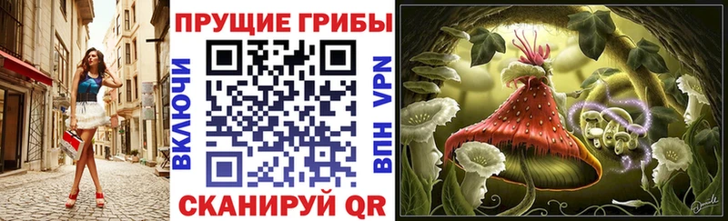 мориарти официальный сайт  купить  цена  кракен ONION  Калач  Галлюциногенные грибы GOLDEN TEACHER 